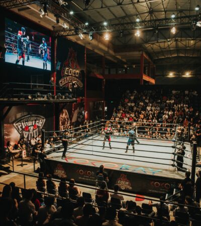 Best WordPress Video Themes and Plugins Best WordPress Video Themes and Plugins